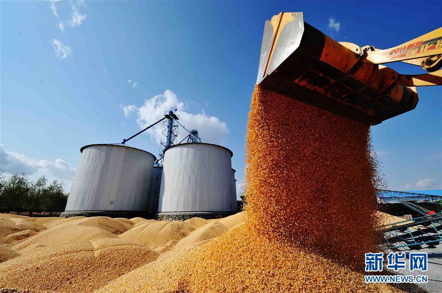 黑土龙腾新跨越——黑龙江省争当农业现代化排头兵巡礼