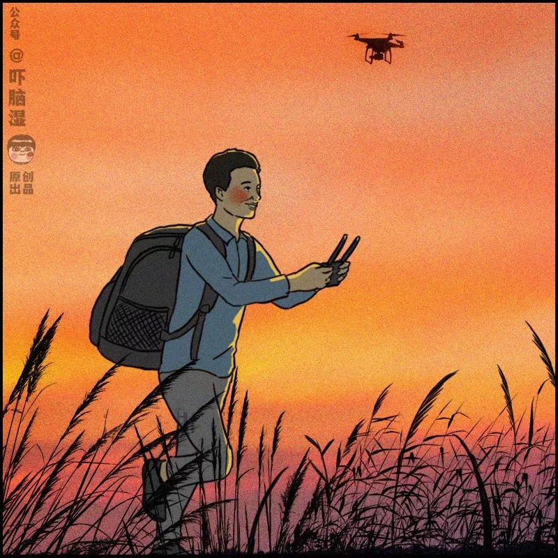 互联网行为大赏,互联网行为迷惑大赏