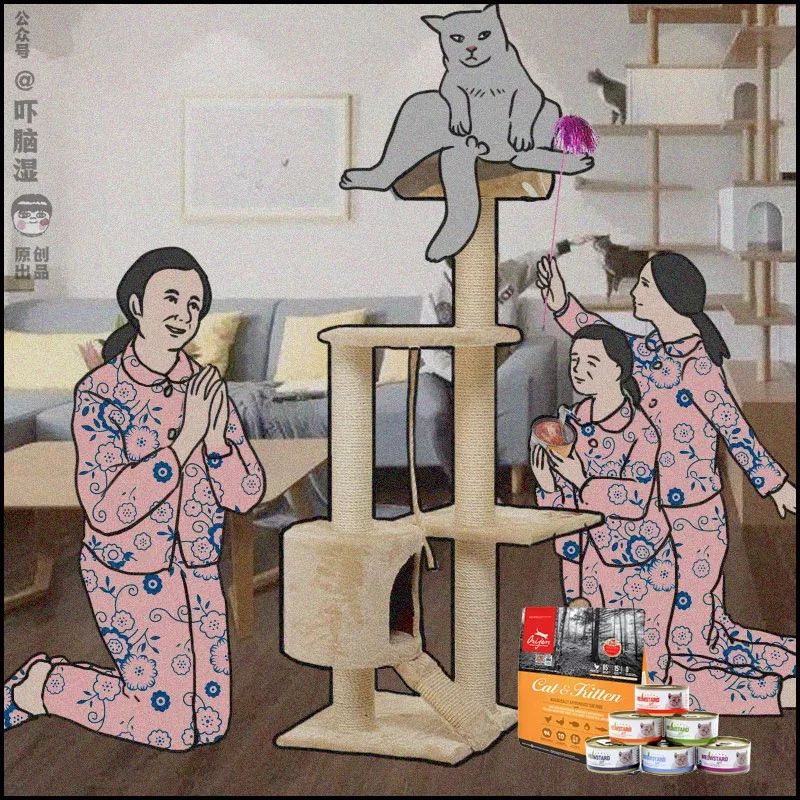 互联网行为大赏,互联网行为迷惑大赏