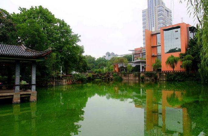 致新同学：沙坪坝教育，用知识立实生命之柱，用思想浇育生命之花