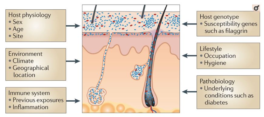 细菌美容：居然有人12年不洗澡而不臭？靠菌护肤真行得通？