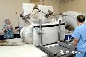 动物生病怎么做ct (动物生病做ct)