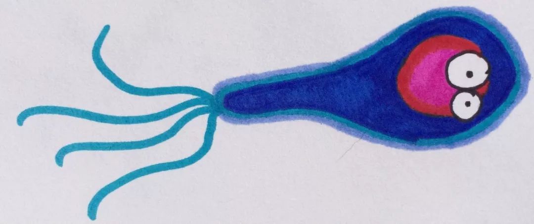 一掌拍在了图钉上,该怎么办|周末涨知识