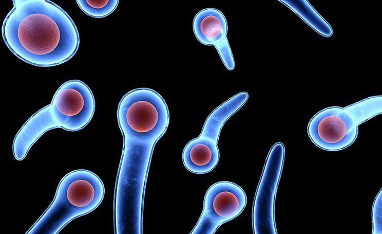 一掌拍在了图钉上,该怎么办|周末涨知识