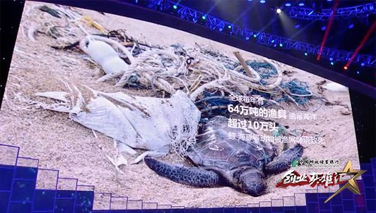 鍙湪娴锋按涓檷瑙ｇ殑娓旂綉,鏂板瀷闄嶈В娓旂綉