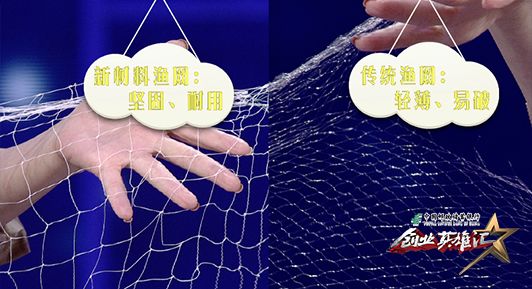 鍙湪娴锋按涓檷瑙ｇ殑娓旂綉,鏂板瀷闄嶈В娓旂綉