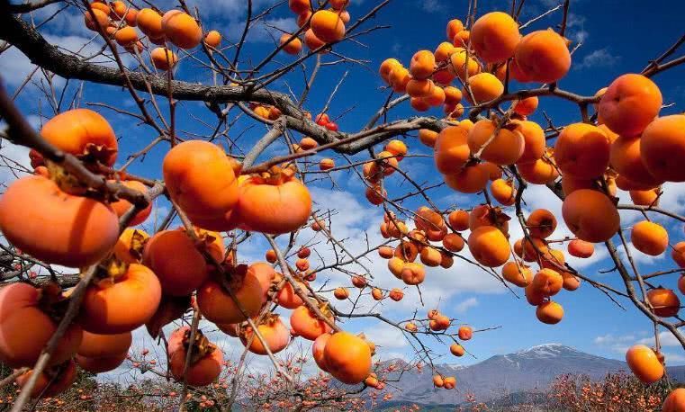 早上空腹吃这四种食物就像开了挂,空腹吃什么食物对身体有害