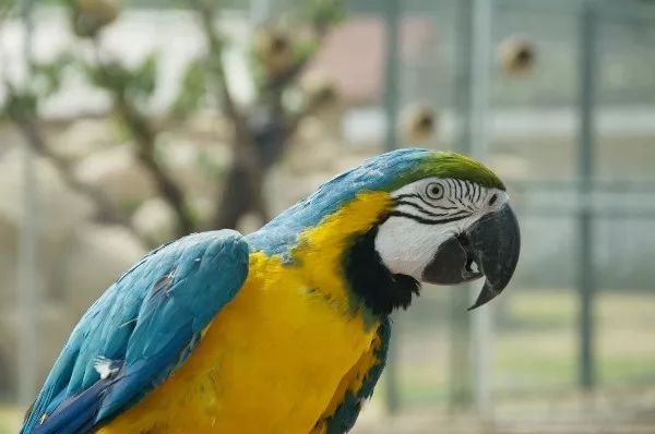 开学季福利大放送,开学季亲子陪伴