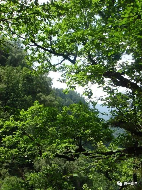 明十三陵没有发掘参观看什么,探秘明十三陵中央十台