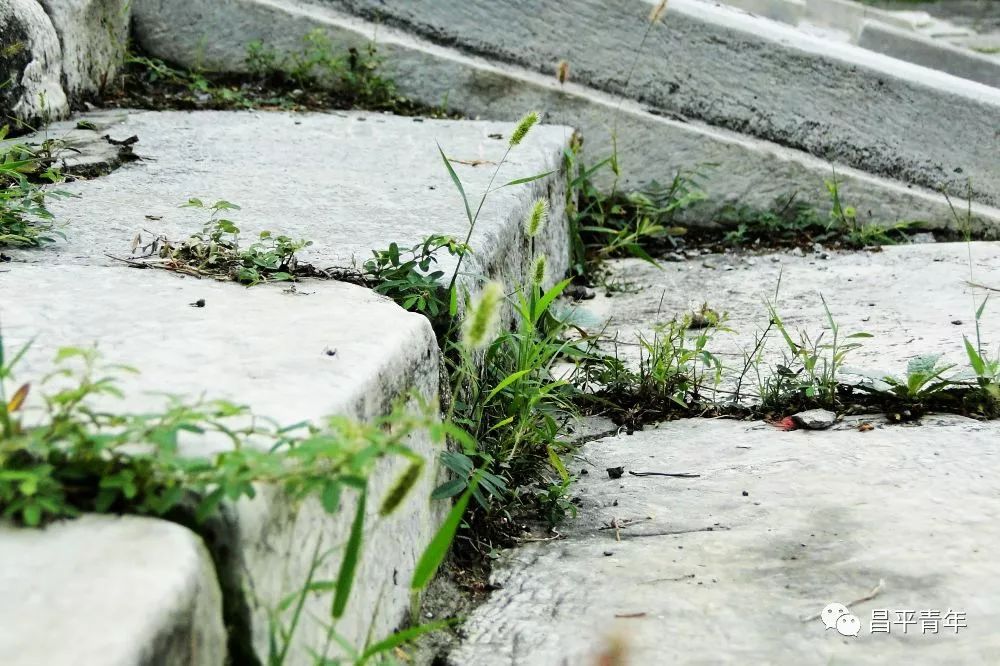 明十三陵没有发掘参观看什么,探秘明十三陵中央十台