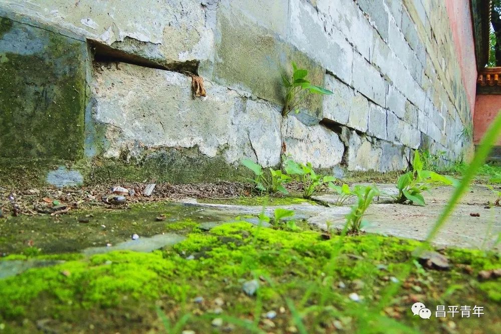 明十三陵没有发掘参观看什么,探秘明十三陵中央十台