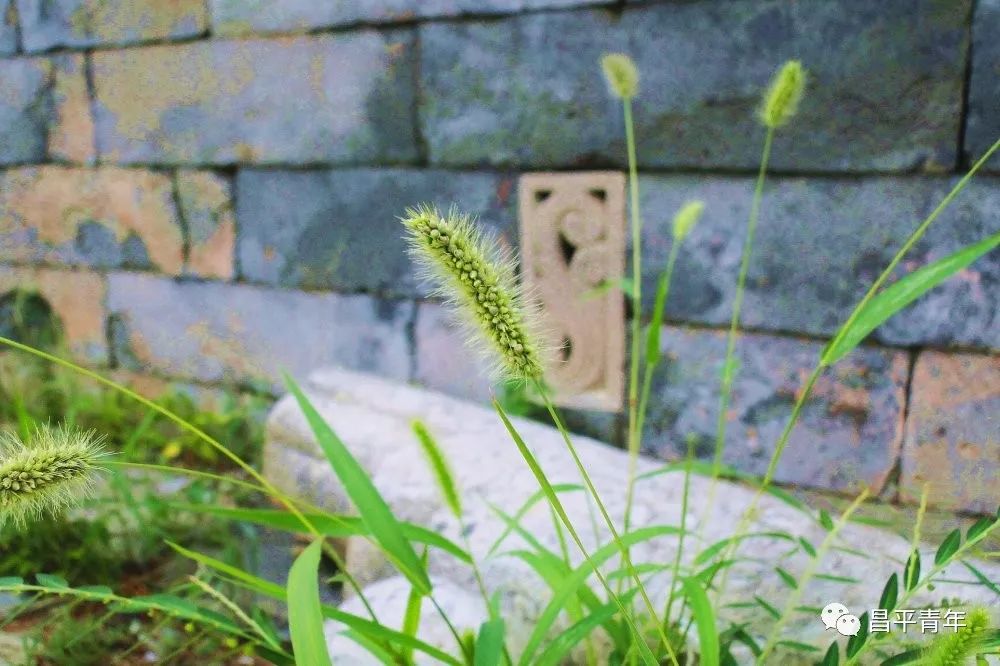 明十三陵没有发掘参观看什么,探秘明十三陵中央十台