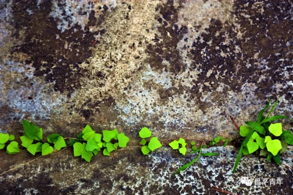 明十三陵没有发掘参观看什么,探秘明十三陵中央十台
