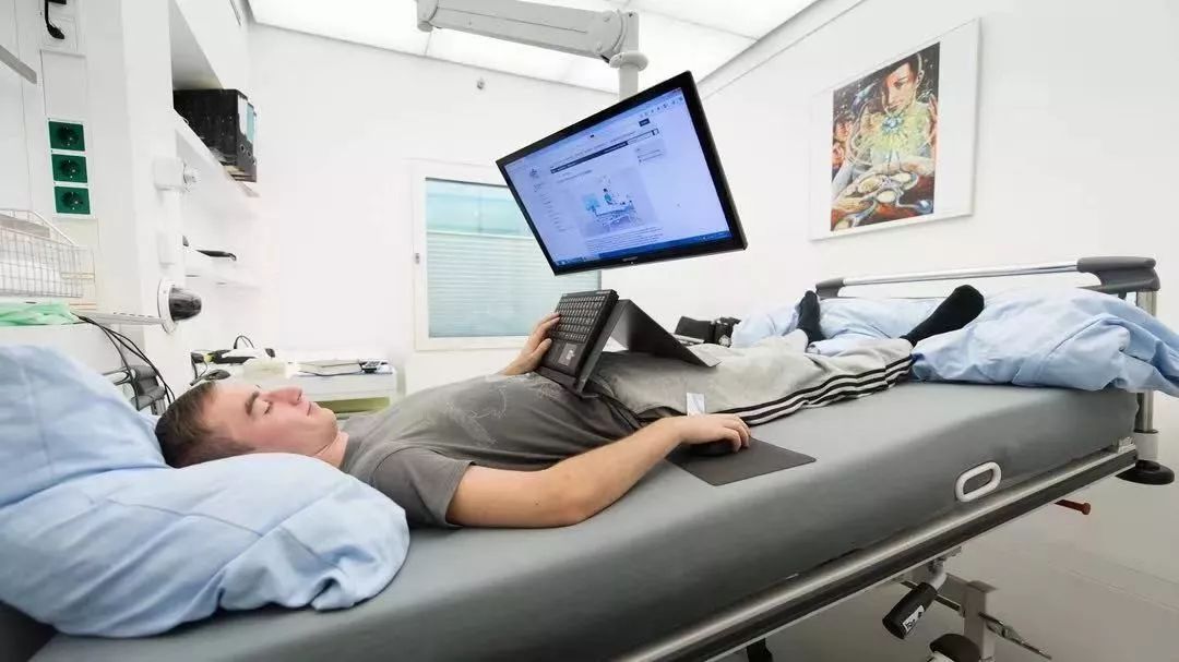 遛狗师一个月挣多少钱,遛狗师一年的工资