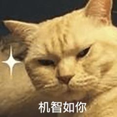 遛狗师一个月挣多少钱,遛狗师一年的工资