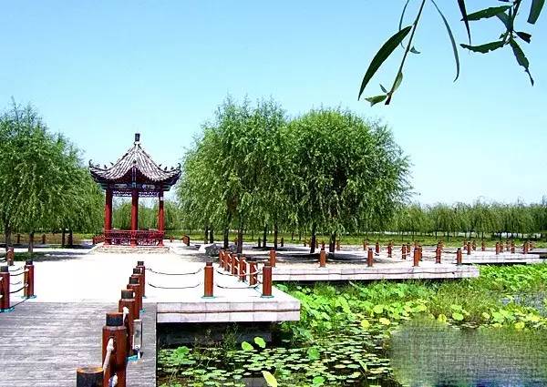 刷屏了!临沂三河口再现“琅琊八景”之“沂水拖蓝”!