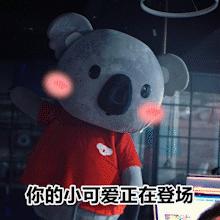 吞金兽是费钱的意思吗,吞金兽一年的花销账单