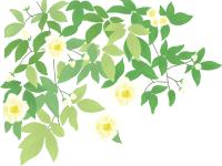 教师节特辑与你同行,我眼中的您教师节特辑