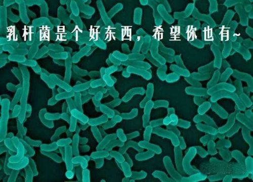 妇科洗洗就能健康吗,妇科洗液可以天天洗吗