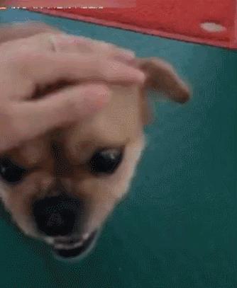 生活中有哪些常见凶险的致病菌,非常危险的致病菌有哪些