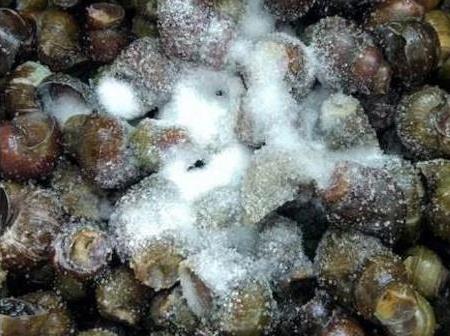 如何让田螺吐沙干净,田螺怎么清洗吐沙干净