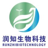 广州番禺现场招聘,番禺区镇街招聘