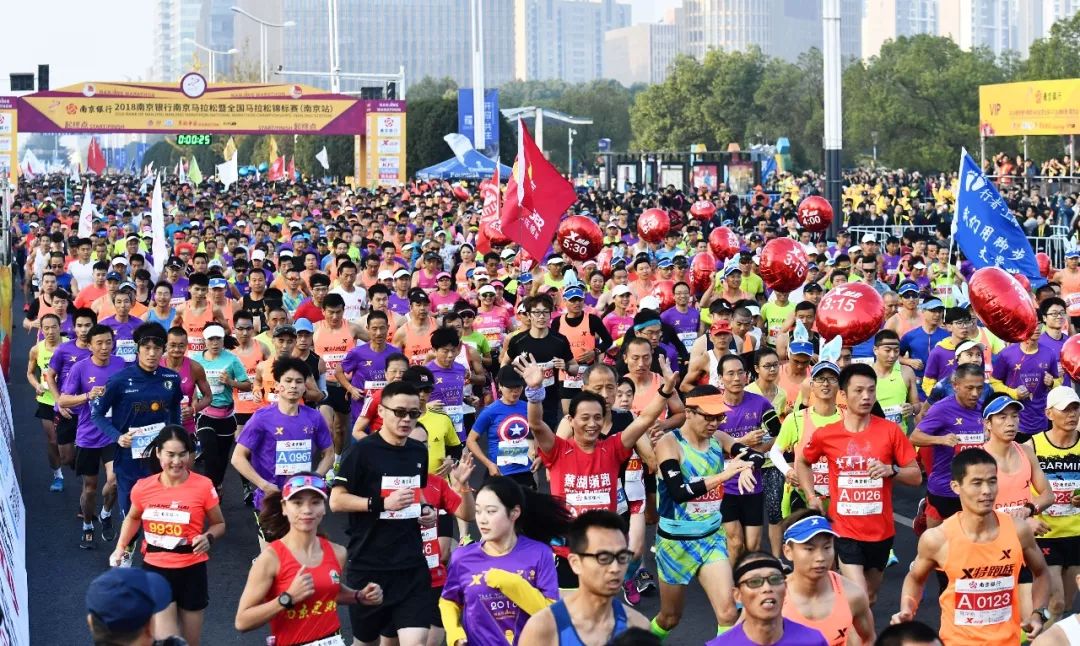 南方南马,南马的最新消息