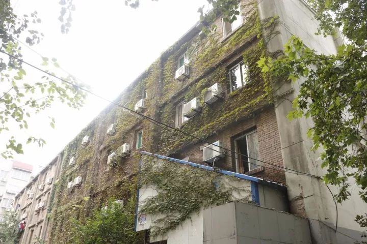 城西发展,城西未来有什么发展