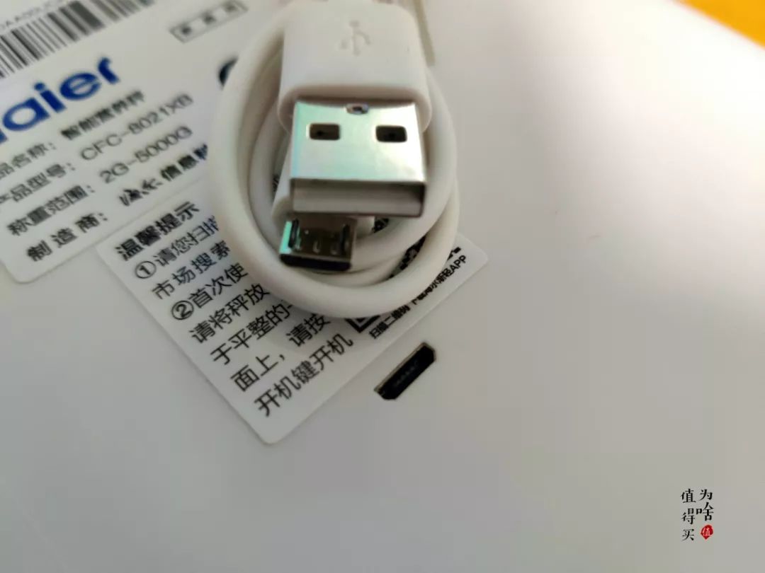 海参如何空运 (海参野生鉴别)