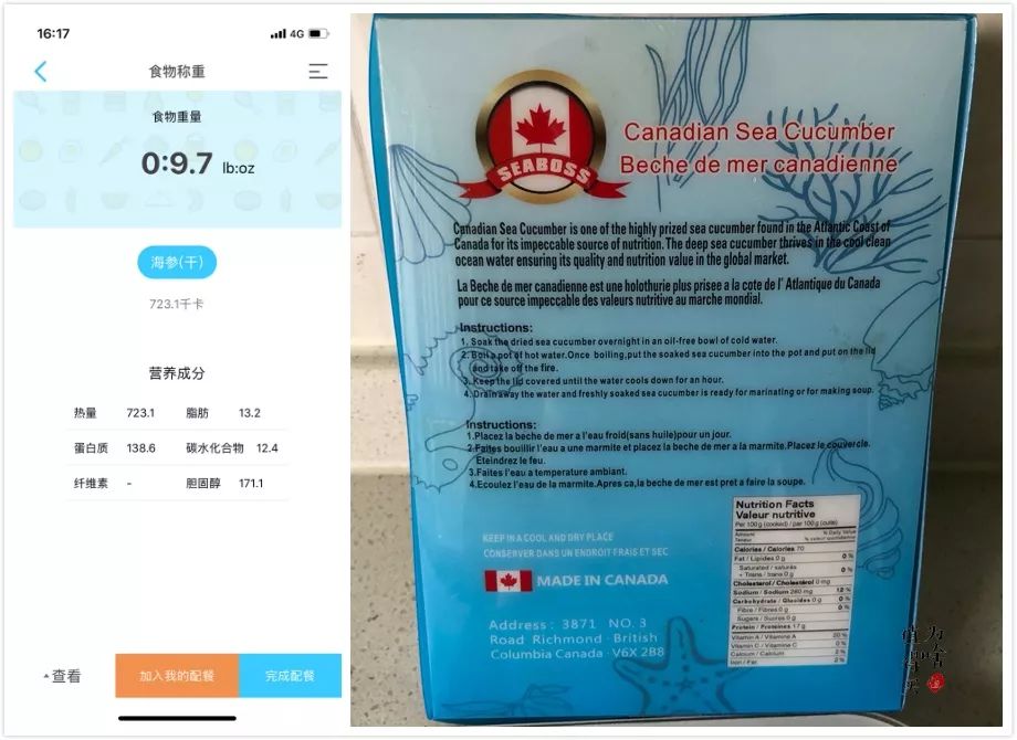 海参如何空运 (海参野生鉴别)