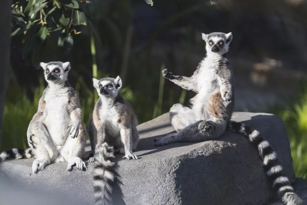 漫步圣地亚哥海边,圣地亚哥海岸风光