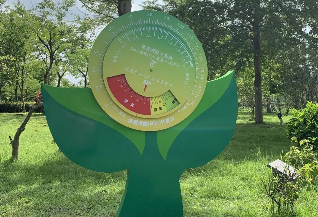 华阳公园翻新,华阳湖湿地公园