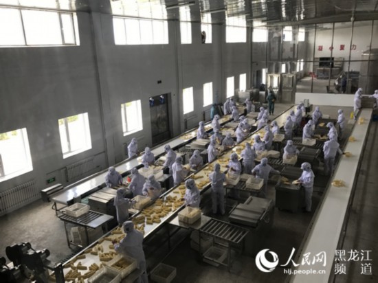 绥化的发展规划,玉米产业发展思路