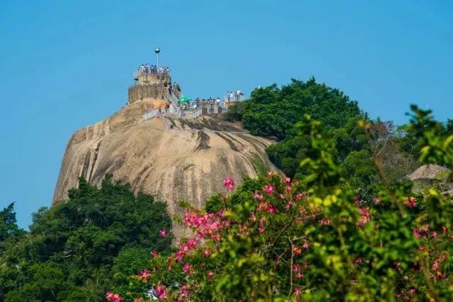 带你领略不一样的鼓浪屿,带你领略鼓浪屿岛上风光
