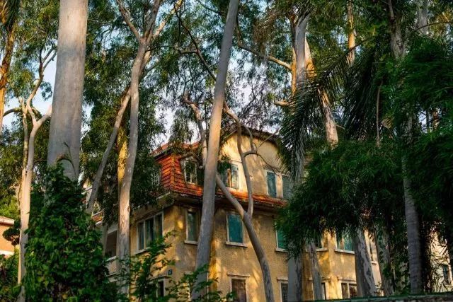 带你领略不一样的鼓浪屿,带你领略鼓浪屿岛上风光