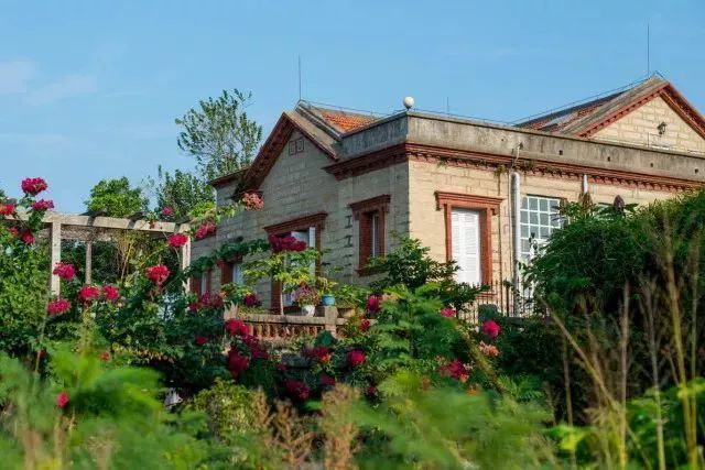 带你领略不一样的鼓浪屿,带你领略鼓浪屿岛上风光