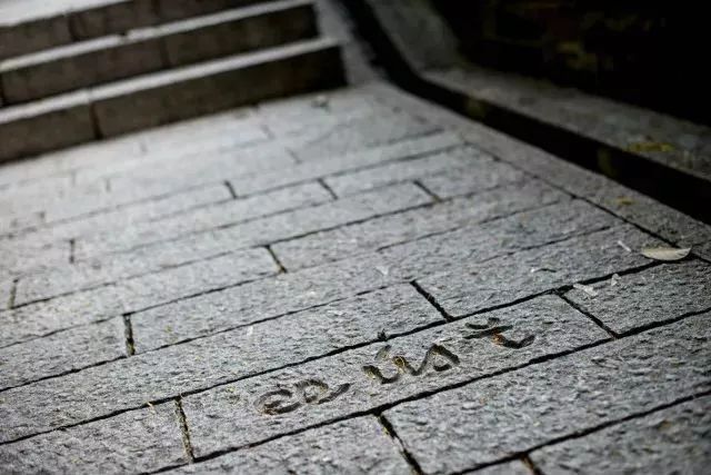 带你领略不一样的鼓浪屿,带你领略鼓浪屿岛上风光