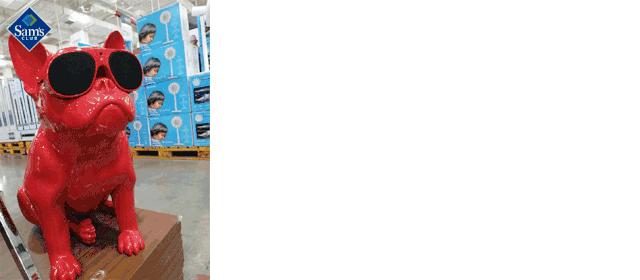 山姆会员店好去处,魔都最大山姆会员店