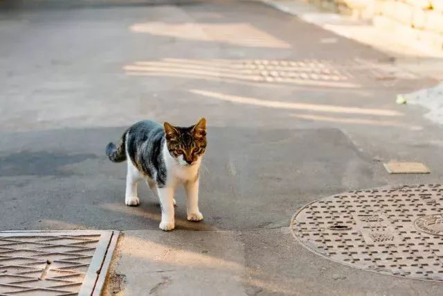 带你领略不一样的鼓浪屿,带你领略鼓浪屿岛上风光