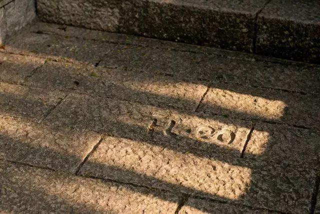 带你领略不一样的鼓浪屿,带你领略鼓浪屿岛上风光