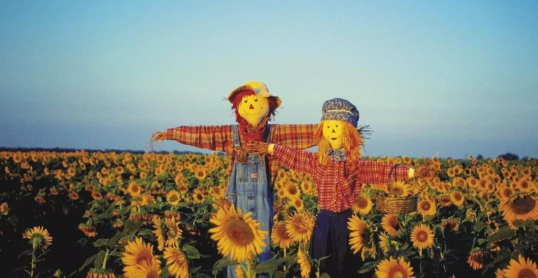 健康伴青春同行!来自江大校医院的温馨提示哦