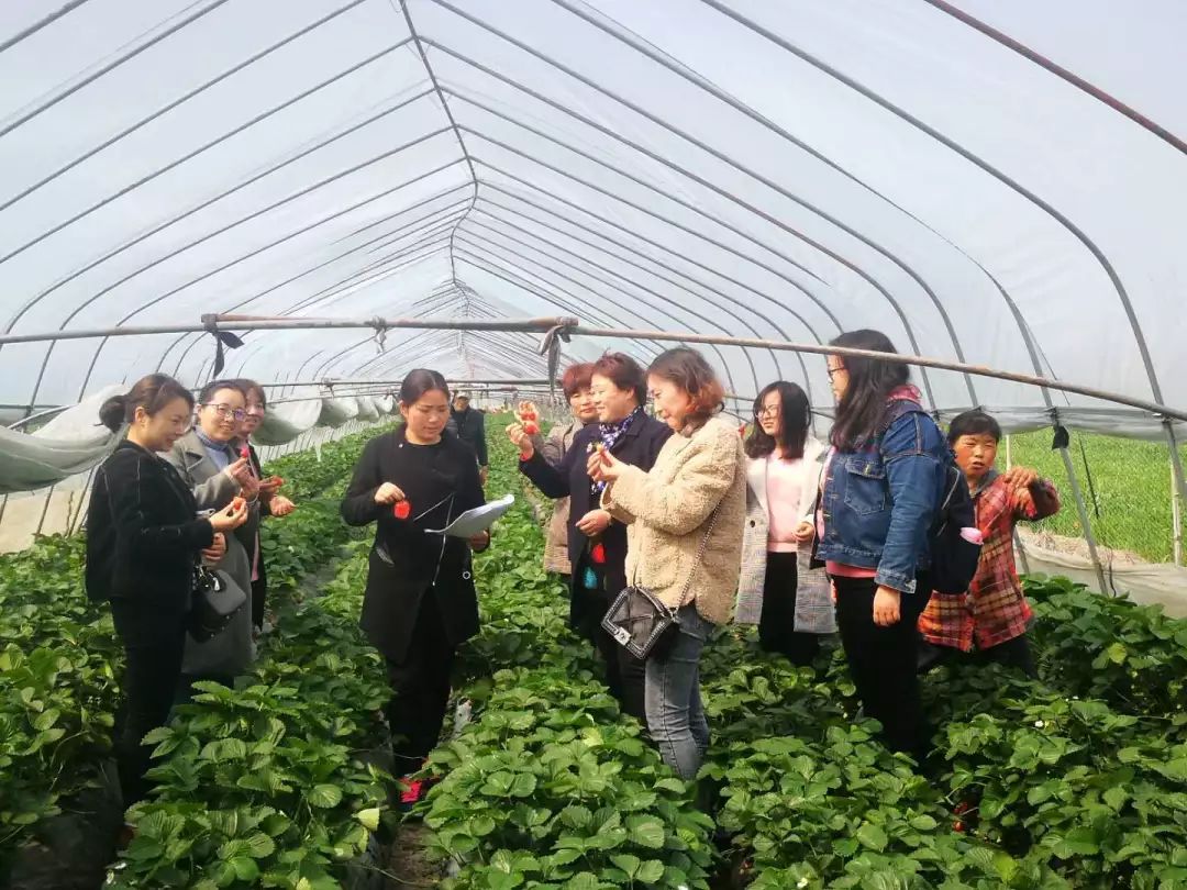 寻访三八红旗手精神|王红妹:她让*党**徽在农村的土地上闪光