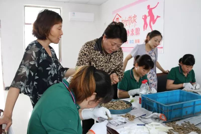 寻访三八红旗手精神|王红妹:她让*党**徽在农村的土地上闪光