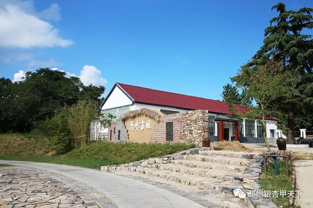 省委副书记任振鹤来邳调研,关于农业农村工作他这么说…