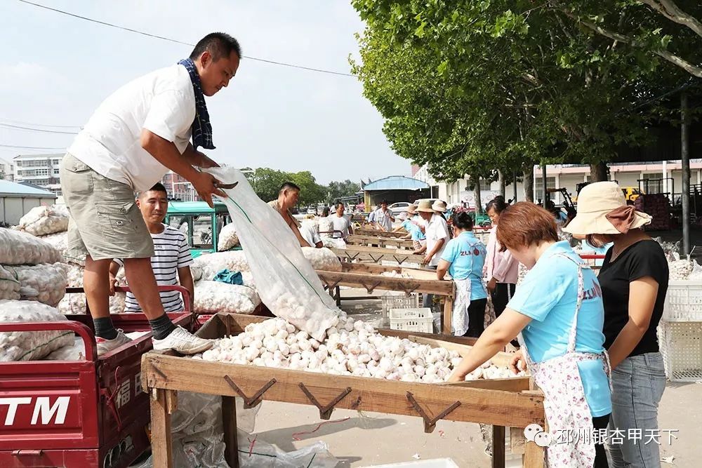 省委副书记任振鹤来邳调研,关于农业农村工作他这么说…