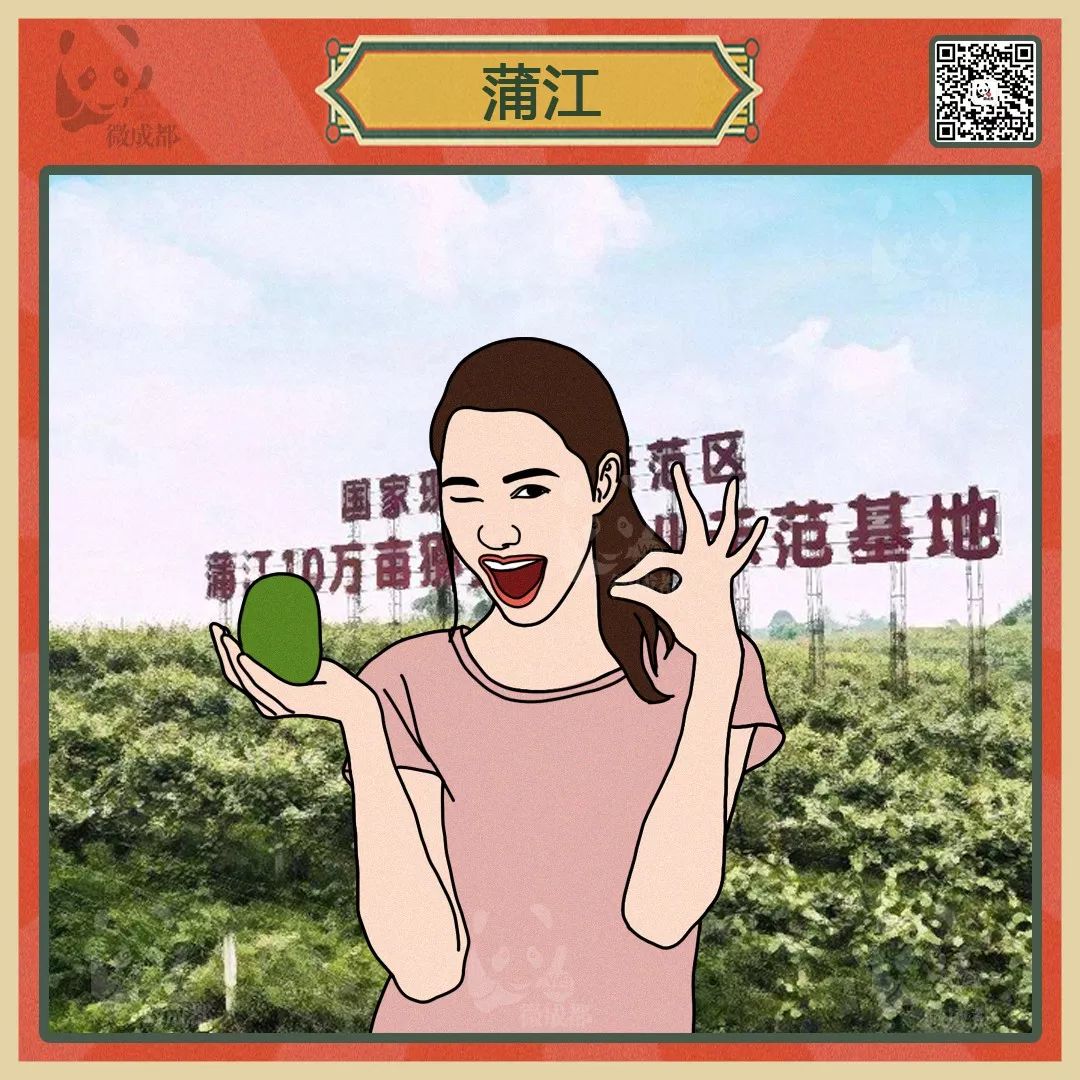 成都各区域居民烦恼图鉴,成都便民指南