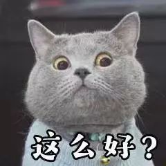 东方医院南院坐诊时间,东方医院南院区崔鲁佳的坐诊时间