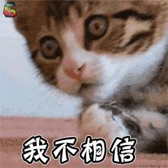 双十一淘宝旗舰店是假货吗 (淘宝双十一旗舰店卖的是假货吗)