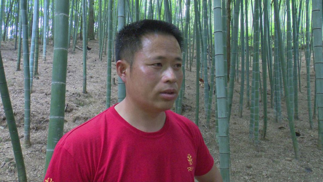 “苗乡鸡倌”王晋龙：脱贫不忘本致富惠乡邻