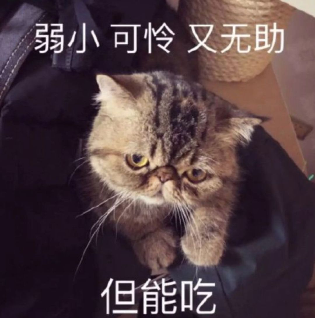 30岁上海姑娘抗癌日记,25岁女孩讲述抗癌岁月